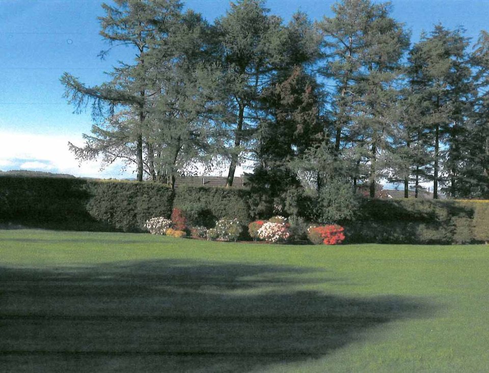 The 80ft high row of trees on businessman James Turnbull's property must be cut down