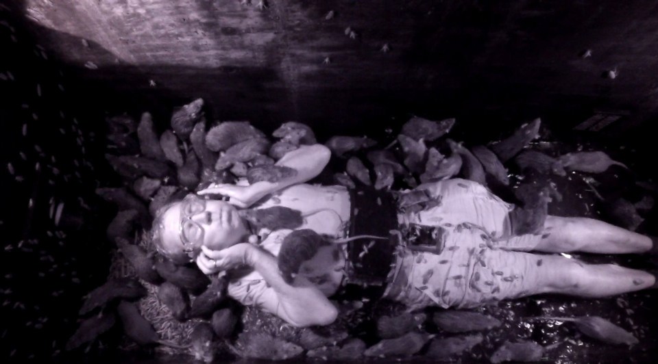 Harry shut in coffin with rats and bugs on I’m A Celeb . . . 