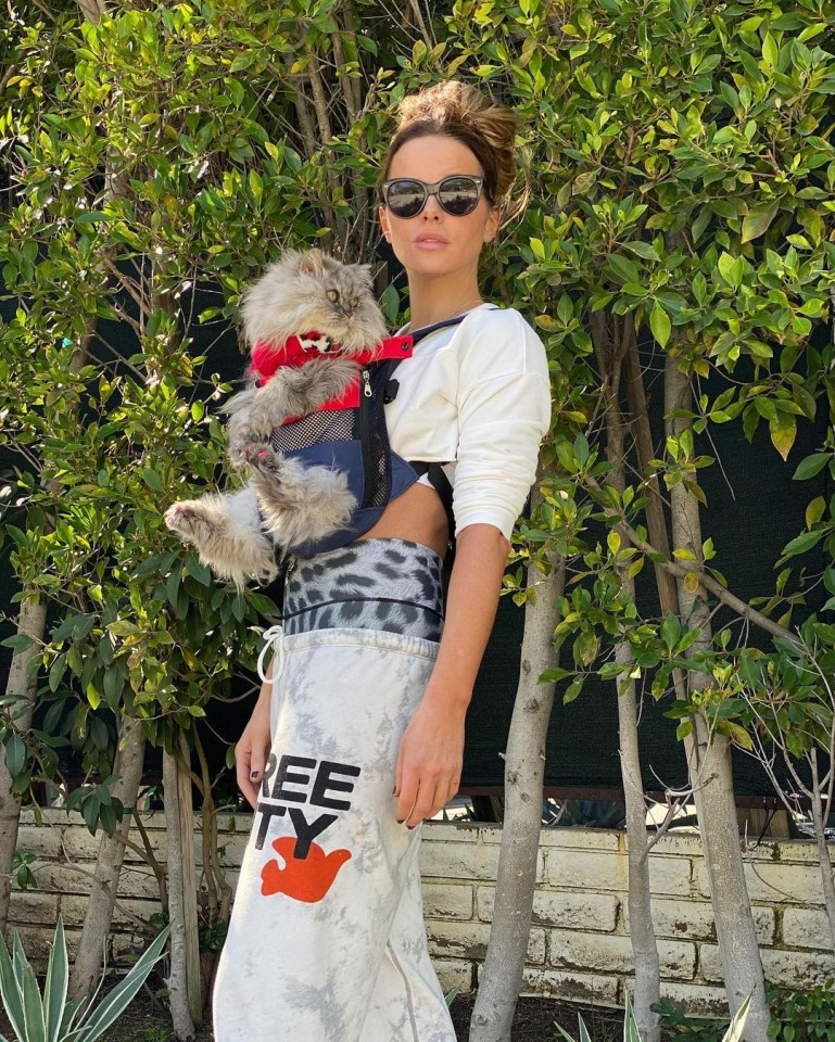 Kate Beckinsale strapped cat Clive to her chest