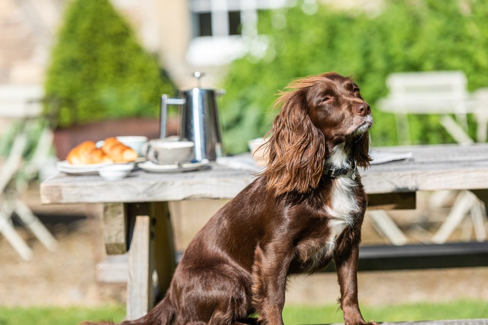 The Lord Crewe Arms in Northumberland is the perfect lunch spot for the weary walker