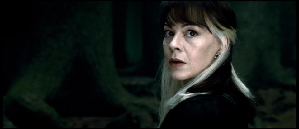 She played Narcissa Malfoy in the Harry Potter franchise