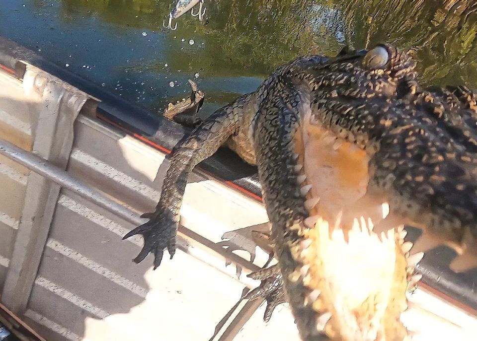 The dangerous beat then lunged onto the boat