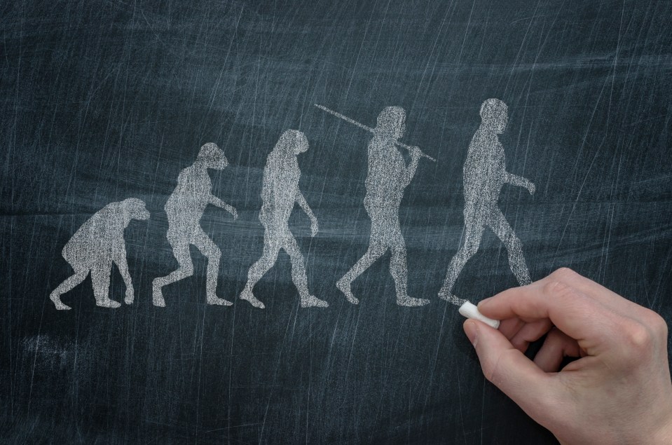 Darwin is the father of evolutionary theory