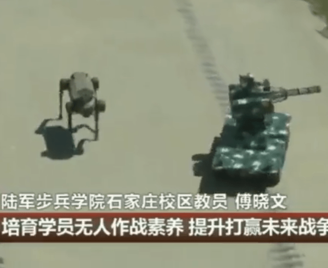 The robot dog in action