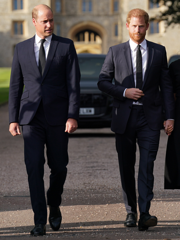 The book is set to delve deeper into Harry's fury at William getting preferential treatment because he is higher up the line of succession