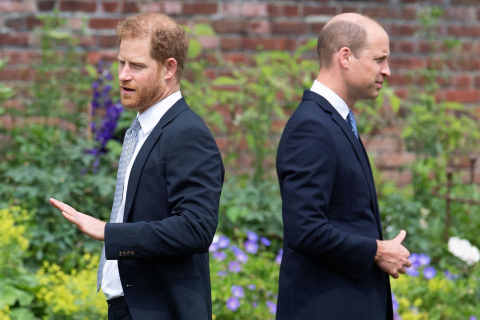 Harry’s book will tell all on his row with brother William - pictured at the unveiling of the Diana statue in 2021