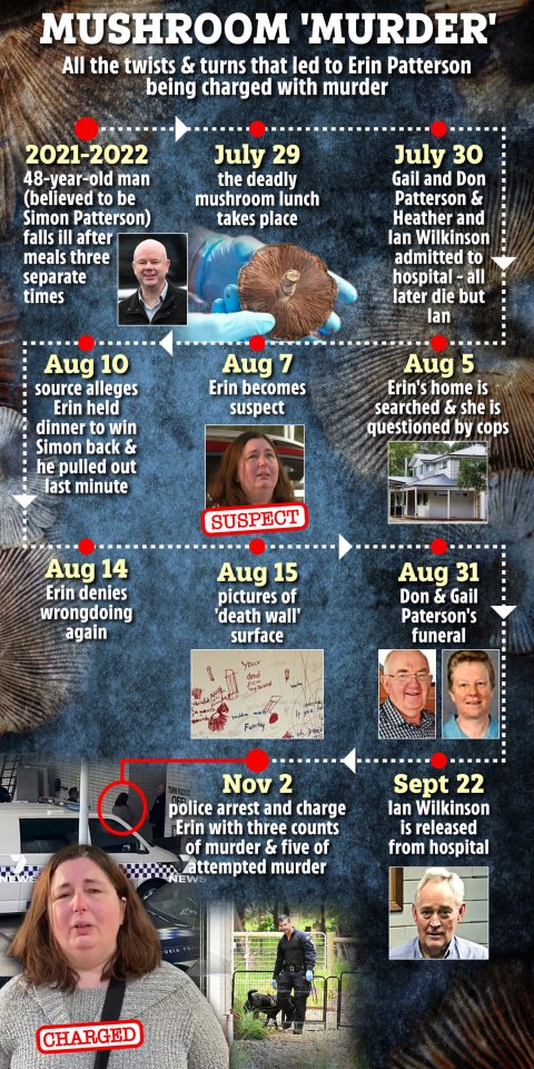 Timeline of events leading to Erin Patterson's murder charges.