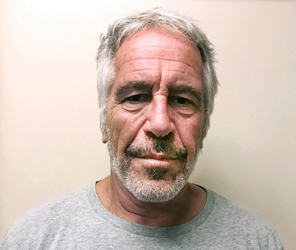 Convicted paedophile Jeffrey Epstein died in prison in 2019
