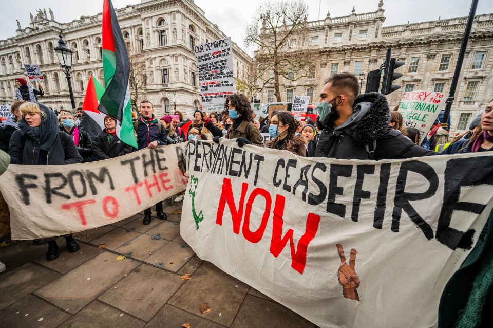 Students call for a ceasefire in Whitehall, London