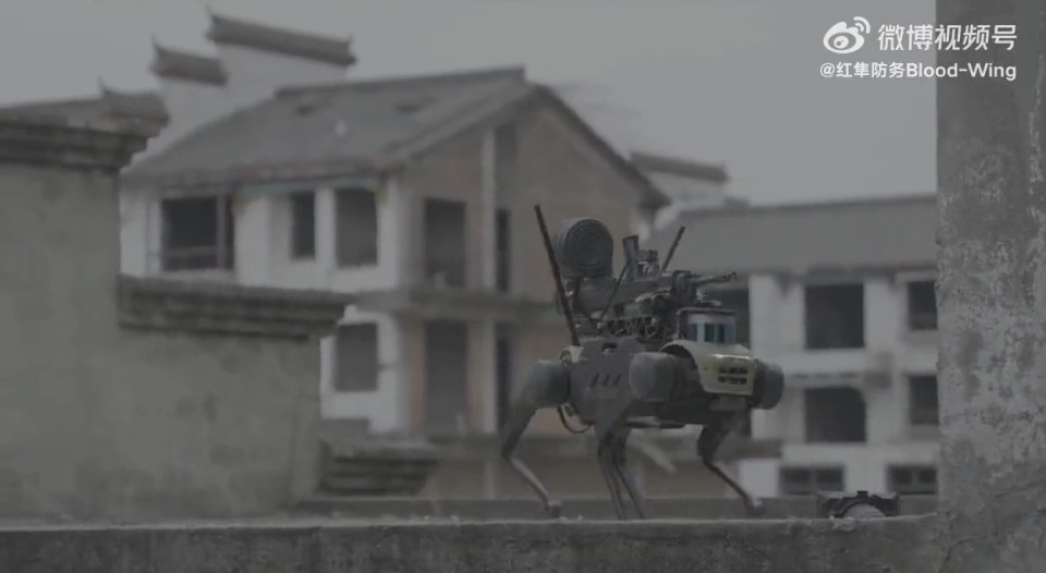 China has built gun-wielding robot dogs that can be dropped in warzones from a drone