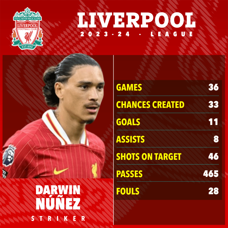 darwin nunez is a striker for liverpool in the league