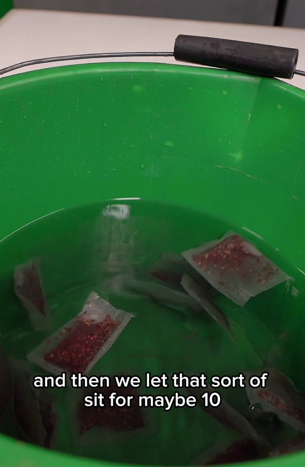 a green bucket filled with water with the words and then we let that sort of sit for maybe 10