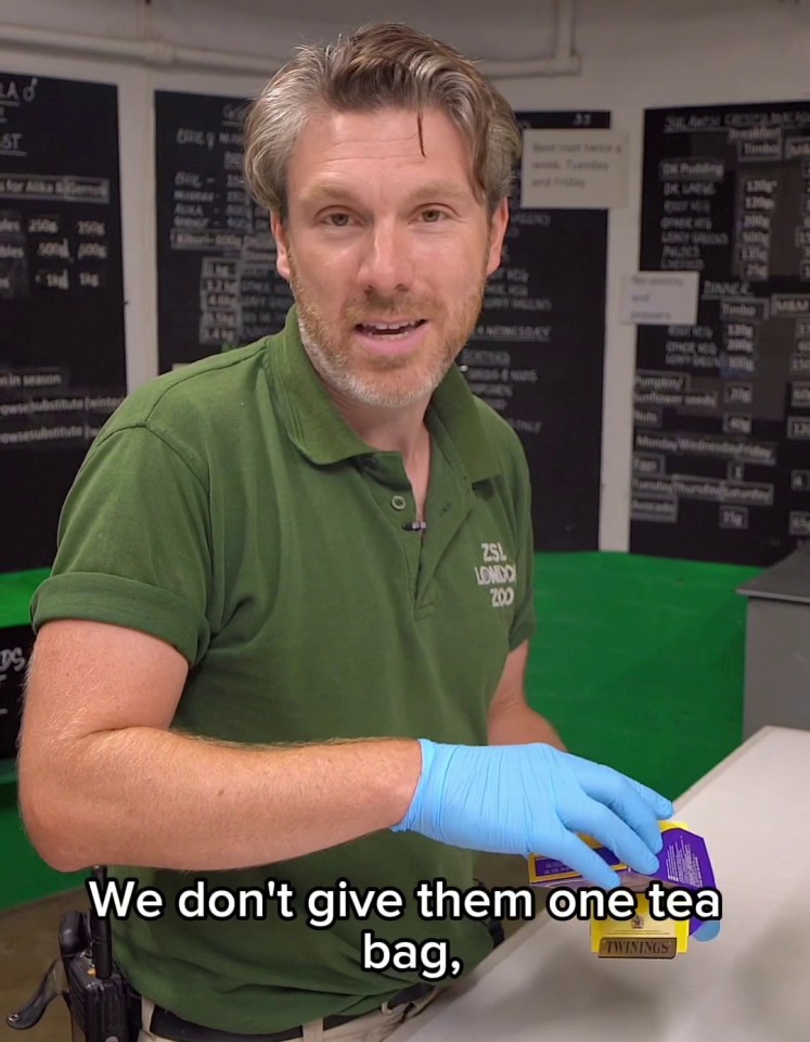 a man in a green shirt says we don 't give them one tea bag
