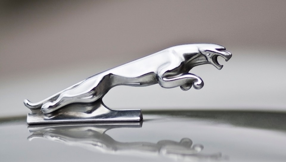 a silver jaguar emblem sits on the hood of a car