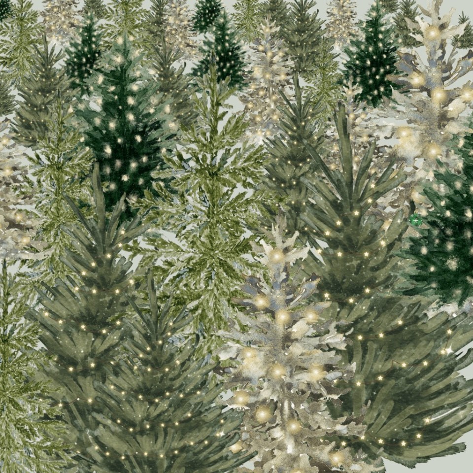 A dense forest of Christmas trees decorated with lights.