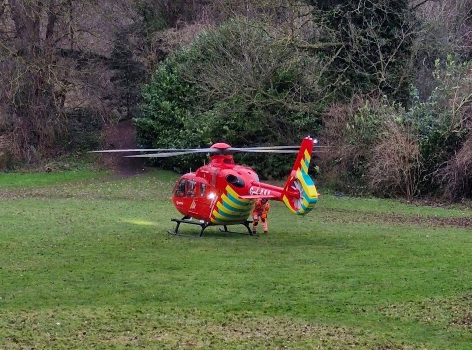 Air ambulance in a park.