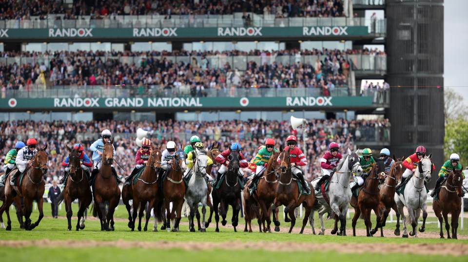 Horses and jockeys racing at Aintree.