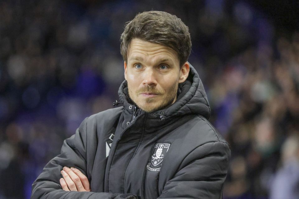 Danny Rohl, manager of Sheffield Wednesday, at a football match.