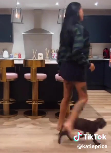 Katie Price kicking a dog out of the way in her kitchen.