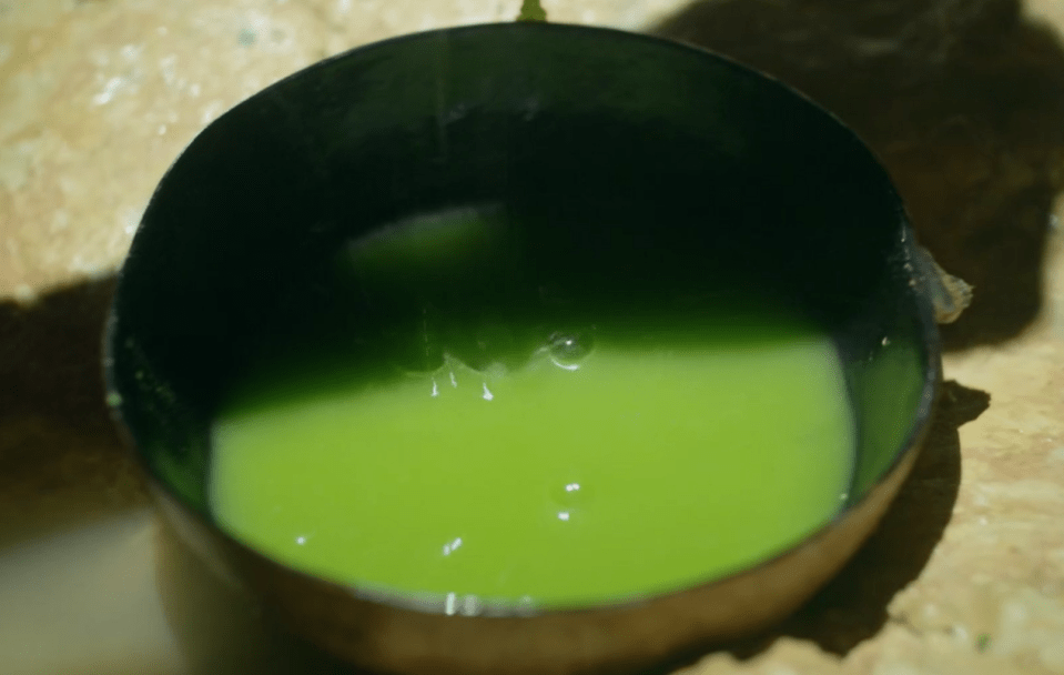 A bowl of bright green liquid.