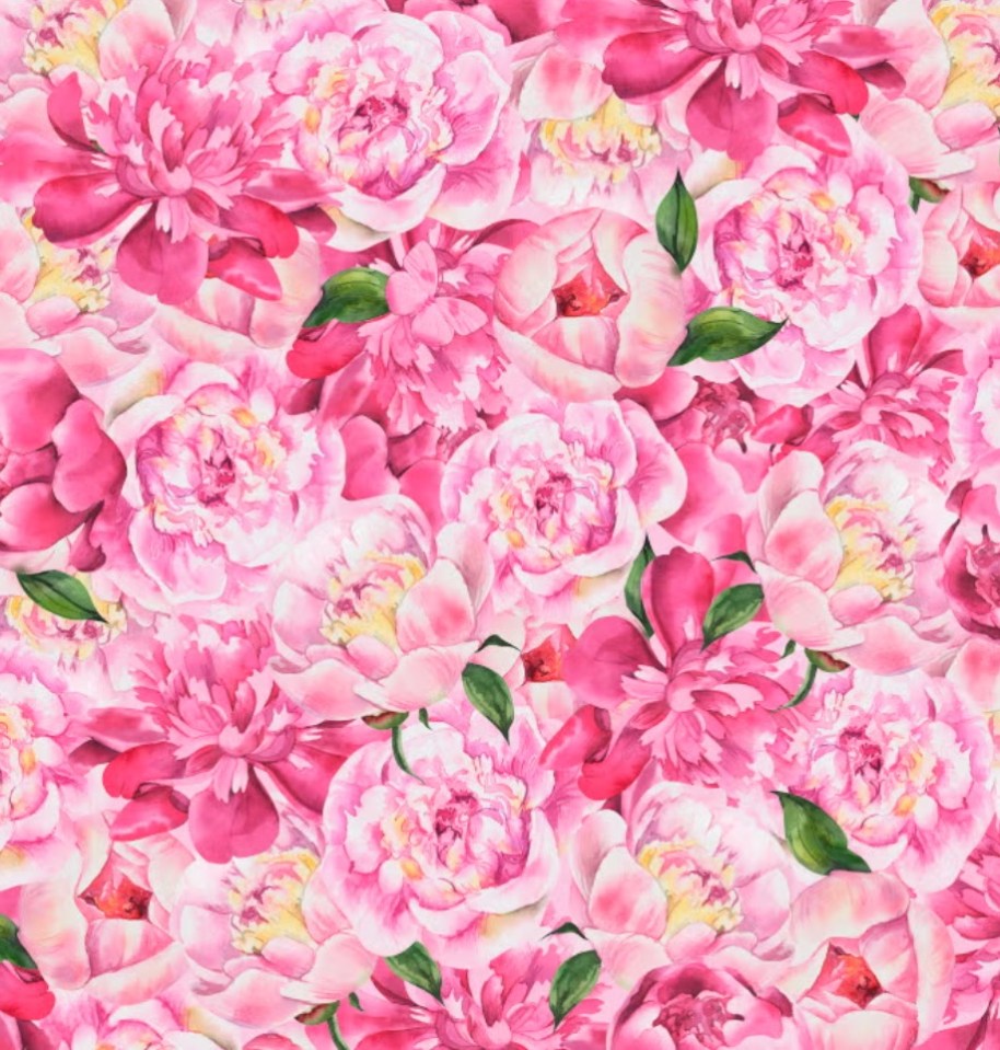 Watercolor illustration of pink peonies.