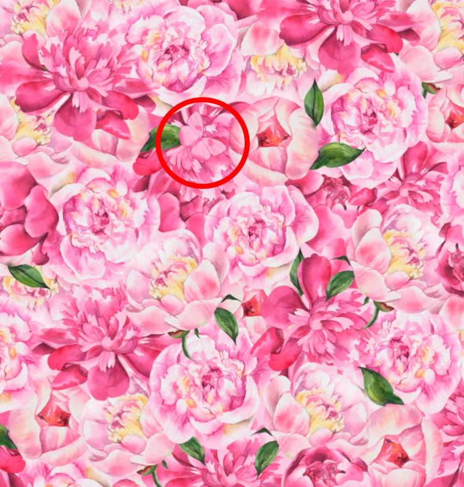 Illustration of a hidden butterfly among pink peonies.