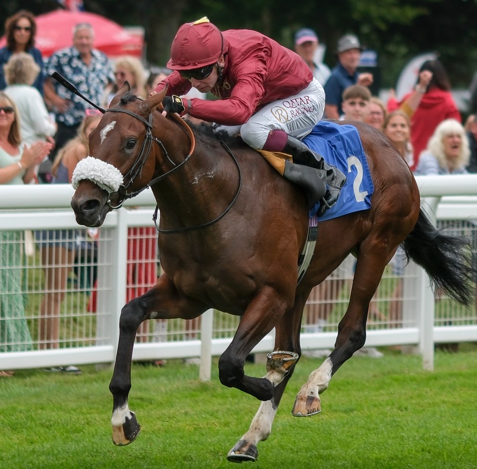 Oisin Murphy riding New Century to win a horse race.