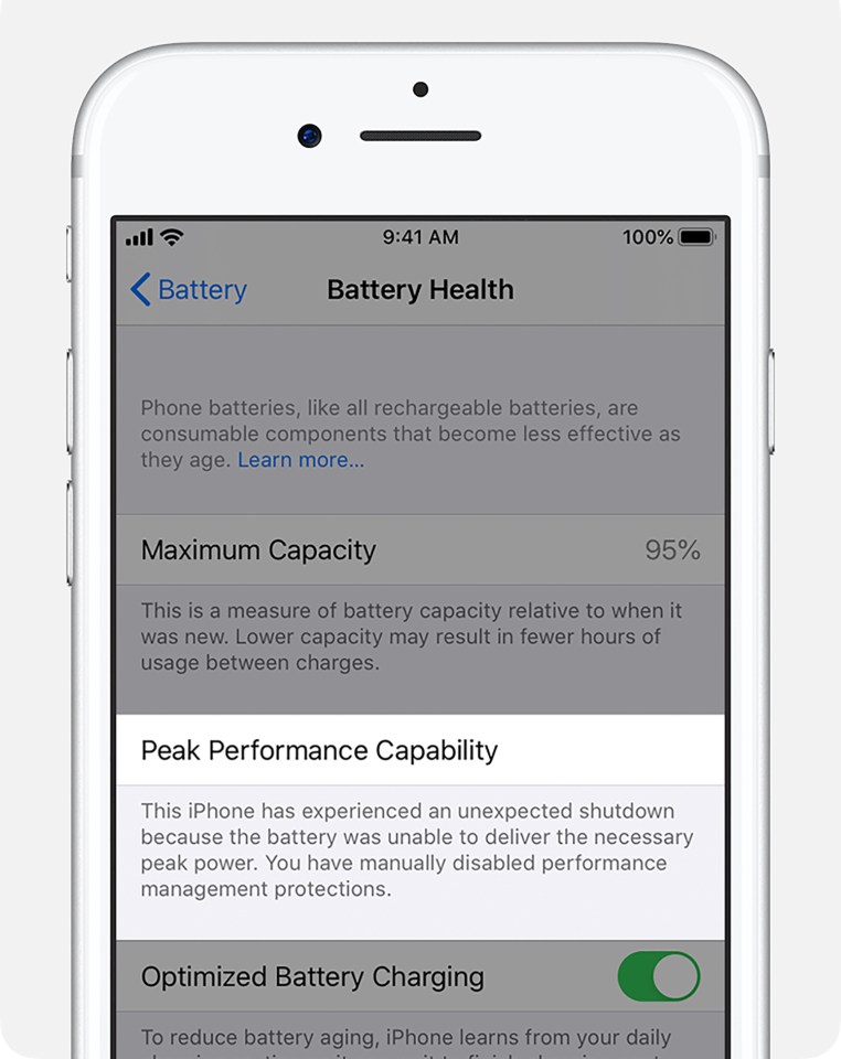 iPhone battery health screen showing 95% maximum capacity and peak performance capability disabled.
