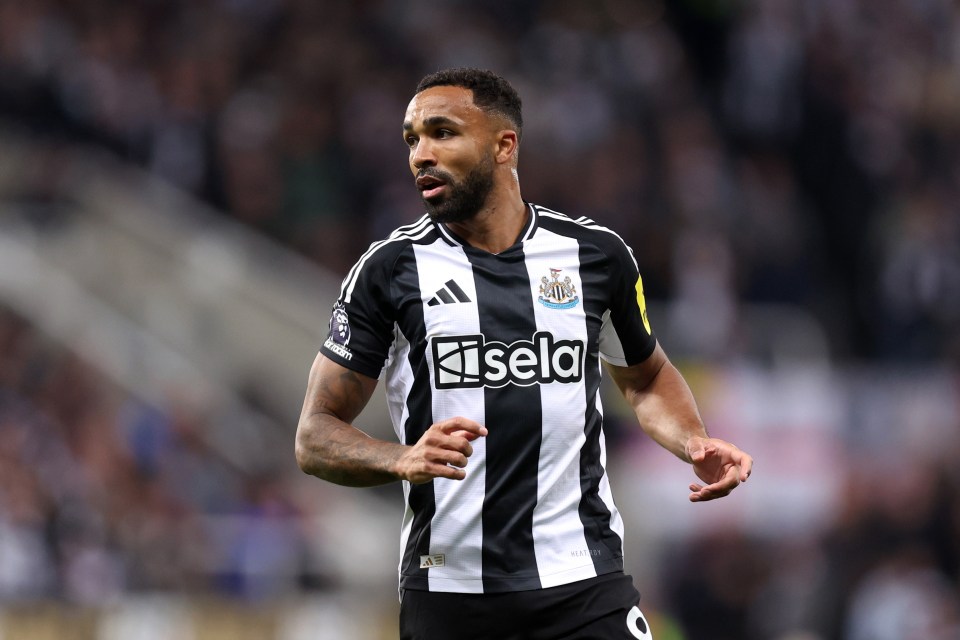 Callum Wilson of Newcastle United during a soccer match.
