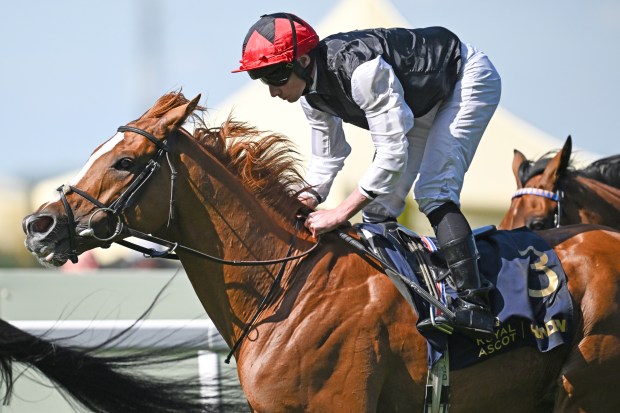 Jockey riding a brown horse in a race.