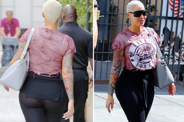 Composite-amber-rose-bum-landscape