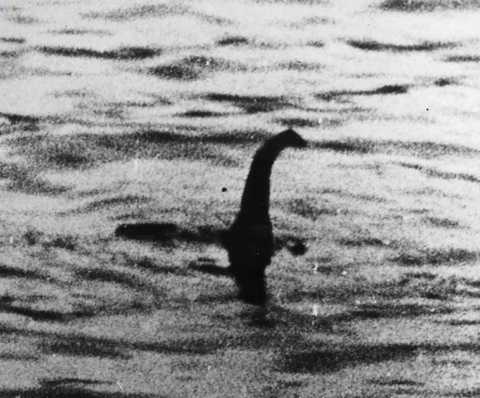 It has re-booted rumours that the ship was attacked by a mysterious sea-going creature, as described by the vessel's own captain