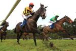 Market Rasen racecourse
