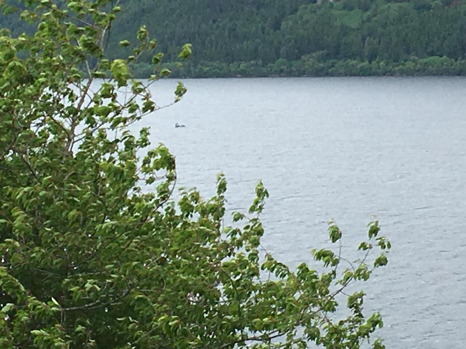 Peter Jackson and Phillippa Wearne stopped at the side of Loch Ness where they snapped this picture after claiming they saw something moving fast through the water