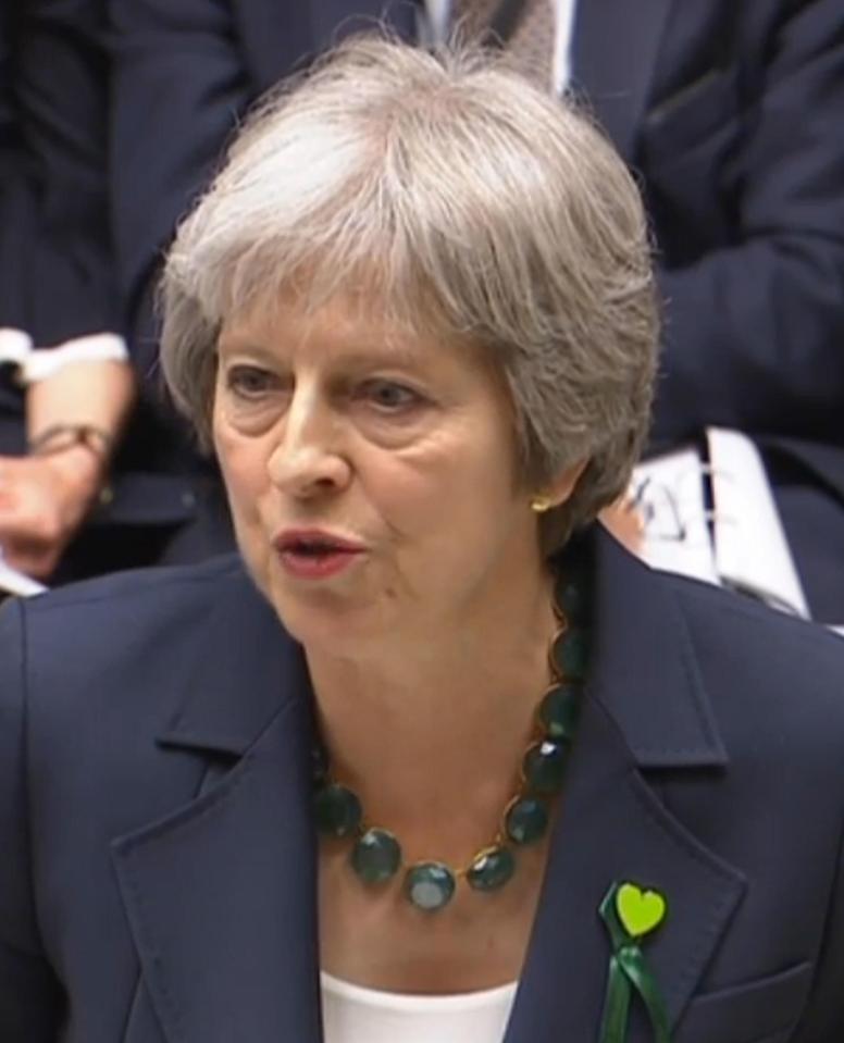  Theresa May showed her support for the victims in the House of Commons yesterday