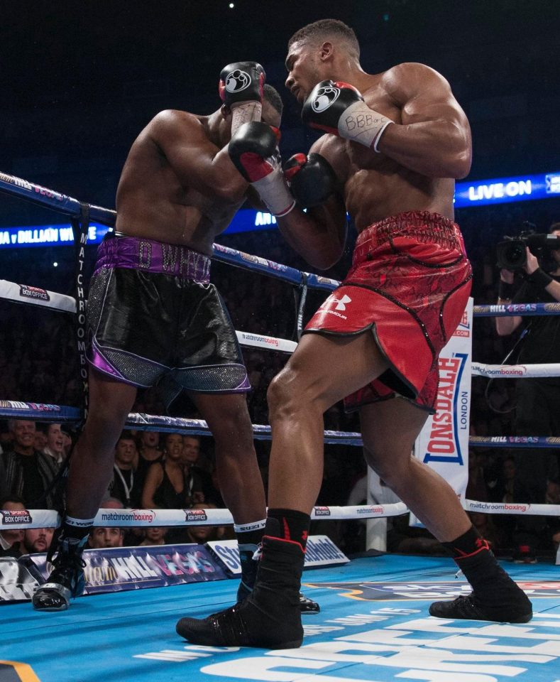  Whyte was beaten by Joshua in 2015