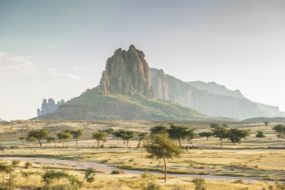 Thermostats could be aping the conditions of Africa where our ancestors evolved