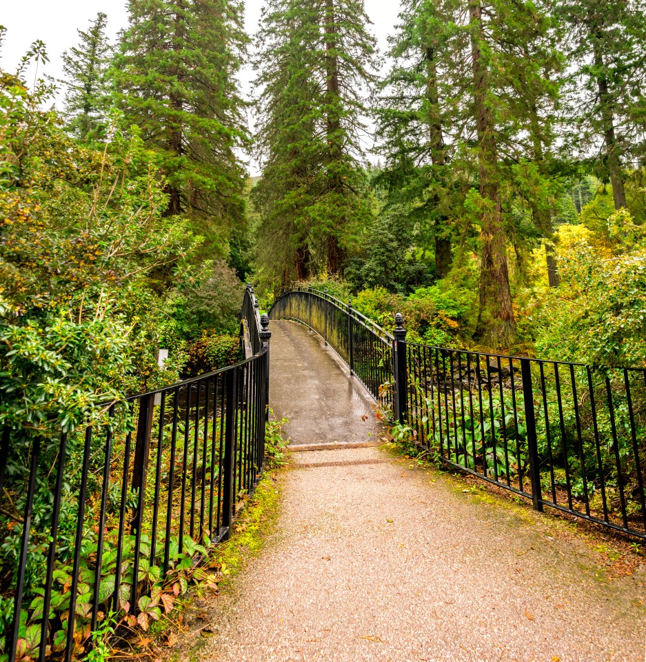 Enjoy the beautiful Benmore Botanic Garden along the river