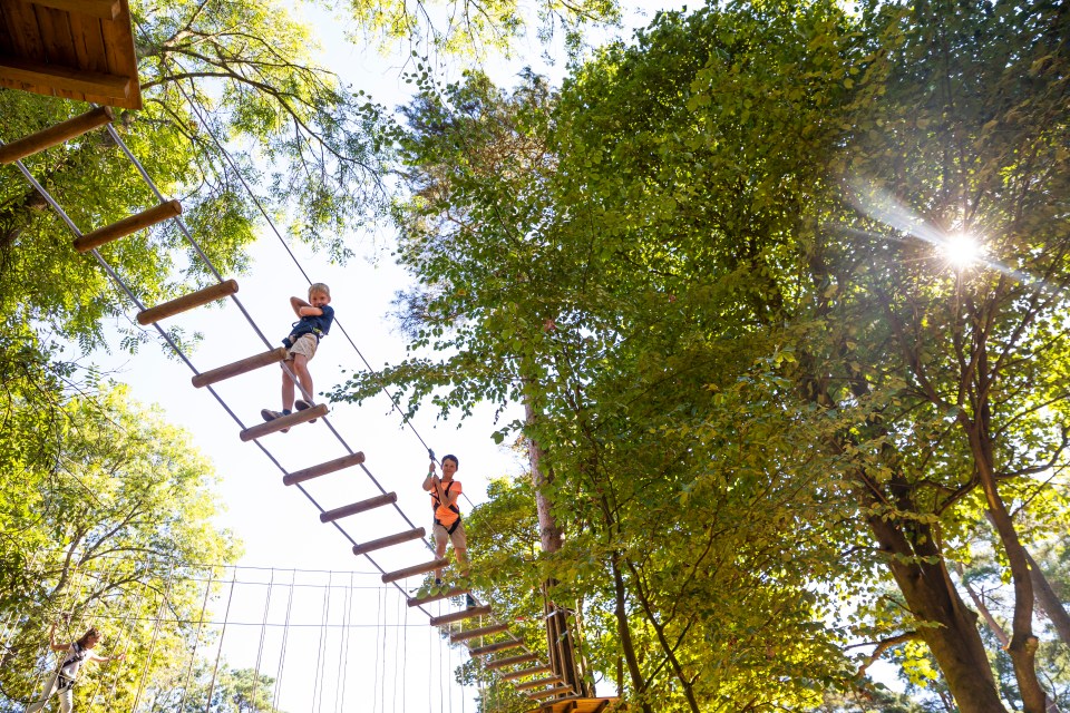 Enjoy amazing views from the tree tops at Go Ape in Sherwood Forest