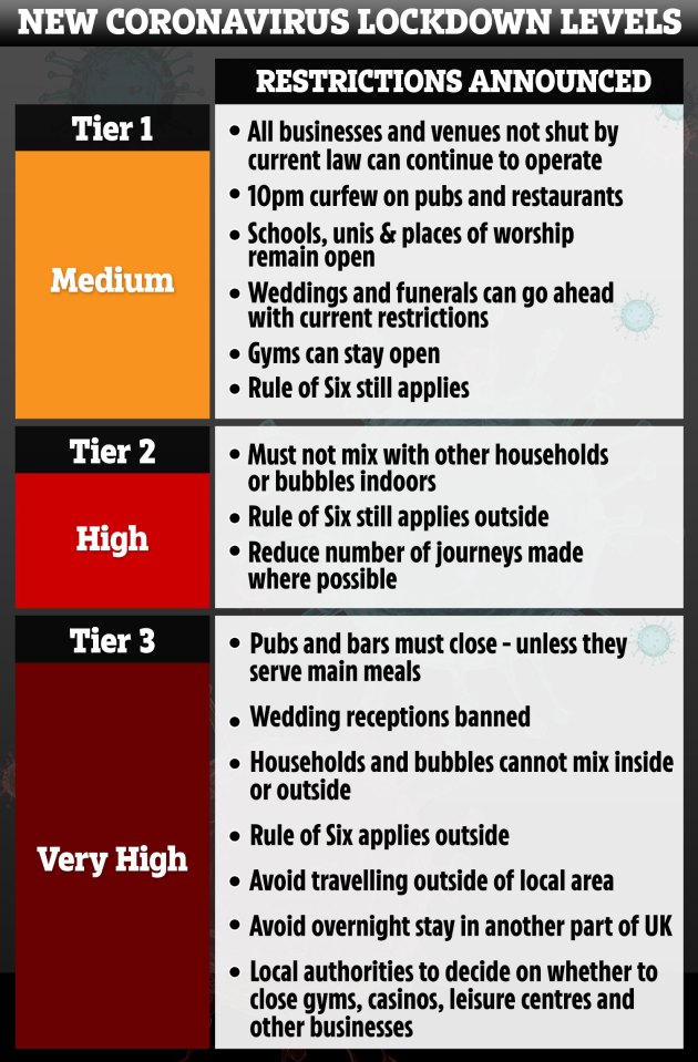 Tier 2 holidays can still go ahead, but you must not mix between households