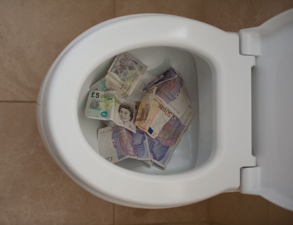 Angela Maier claimed she drunkenly flushed 400,000 euros down the loo