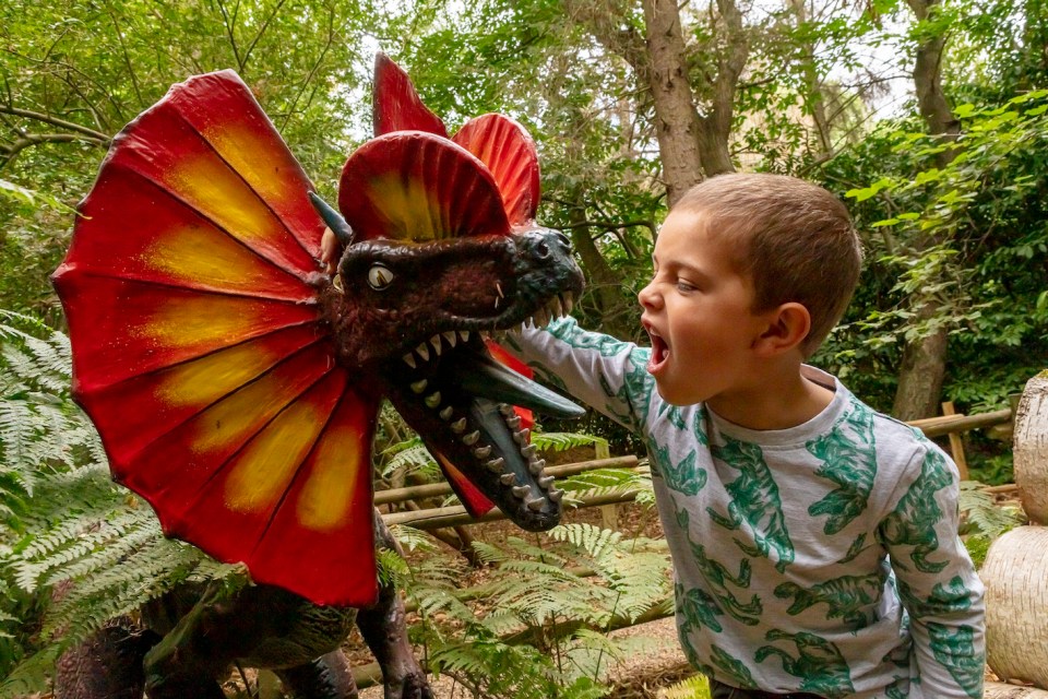 Close encounters at the park in Norfolk