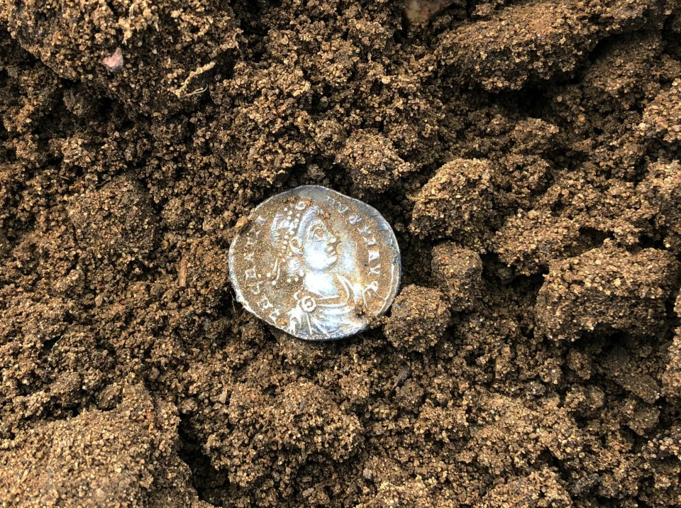 A metal detectorist spent two years uncovering a massive hoard of 432 Roman coins