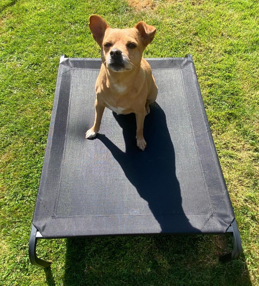 best-pet-cooling-mat