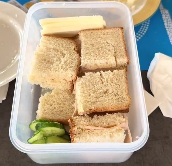 a plastic container filled with sandwiches and cucumbers says sorted for lunch