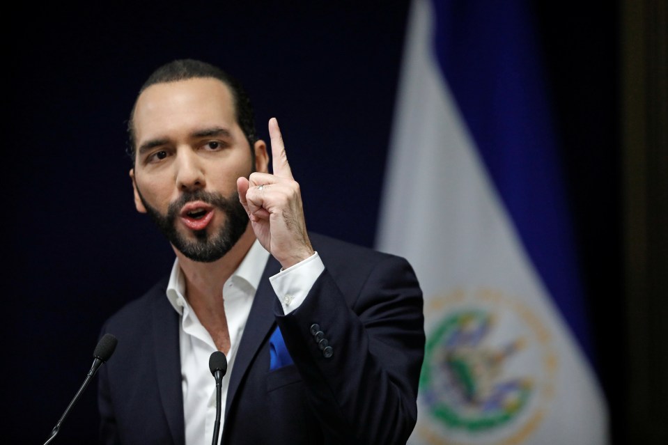 a man in a suit is giving a speech in front of a flag