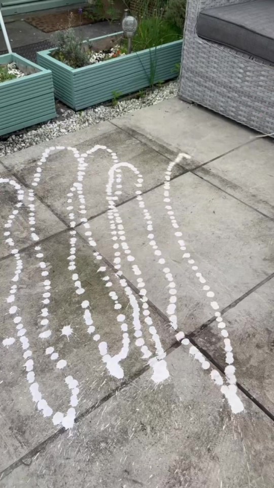 a drawing of a jellyfish is painted on a patio