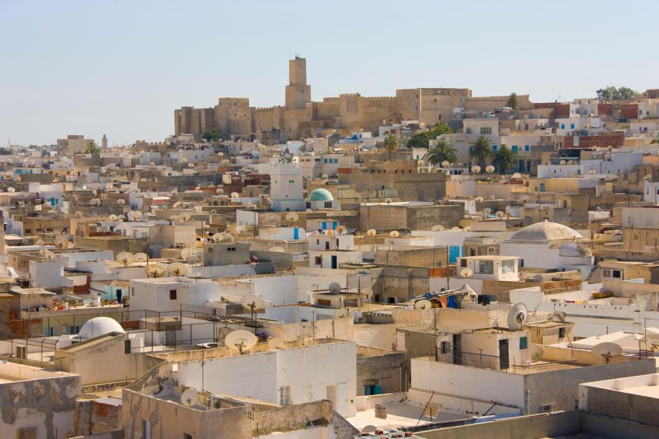 a cityscape with a large castle in the background