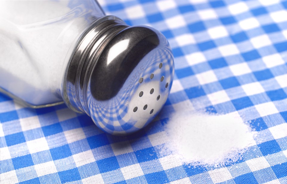 a salt shaker on a blue and white checkered table cloth