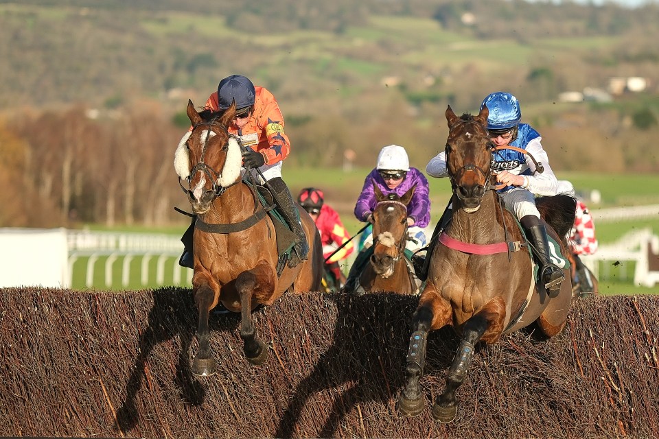 Horse race: Gemirande (blue/white) winning the December Gold Cup.